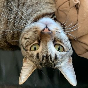 Meet your Posher, Alex